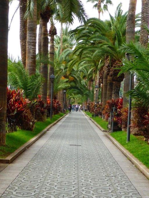 First Line Beach Apartment Puerto de la Cruz  Zewnętrze zdjęcie